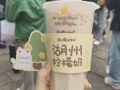 -猫的魔法密林(衣裳街店)