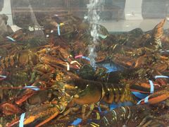 -宝燕海货工场(长江国际店)