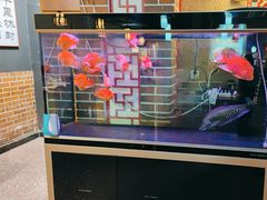-小城外婆肴私房菜.家宴聚集点(圆明园颐和园·清河上地店)