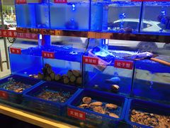 -小龍鳳·港式海鲜打边炉(沙湖路店)