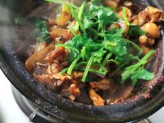 特色牛蛙煲-二楼老店重庆鸡公煲(真光路店)