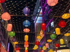 -越秀西湖花市(广州城市广场花卉店)
