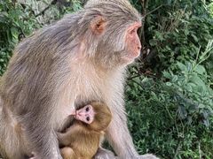 -黔灵山公园