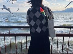 -滇池海埂公园