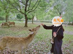 -秀丽东方