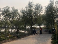 -绿堤公园