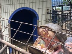 -昆明动物园