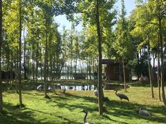 -艾溪湖湿地公园