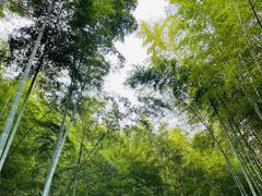 -敬亭山风景名胜区