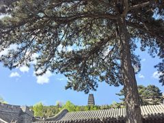 -雁门关景区