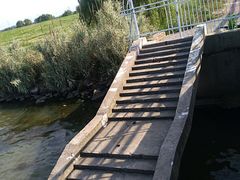 -漕湖湿地公园