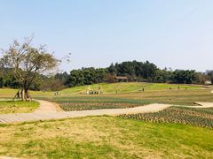景点-保利石象湖景区