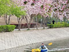 -元大都城垣遗址公园