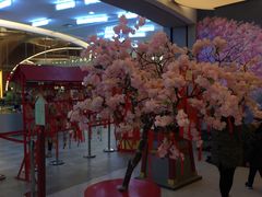 -茶马花街(城西银泰城店)