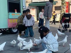 -华谊兄弟（长沙）电影小镇