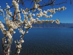 -丽江泸沽湖景区