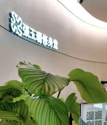-Fundi张玉珊修身堂·indiba·BTL科技瘦身