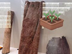 -广东中医药博物馆