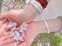 -高东镇樱花园