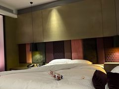 -南京禄口机场雅高铂尔曼大酒店