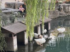 -百花洲