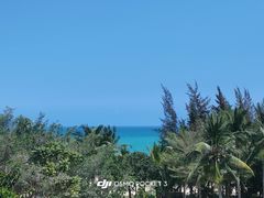 -三亚海棠湾万丽度假酒店