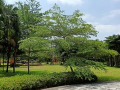 -红色娘子军纪念园