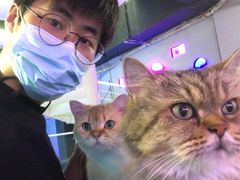 -极木²邸 人与宠物·互动社区