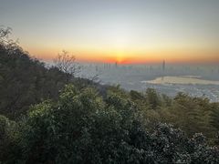 -紫金山山顶公园