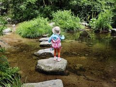 -青峰峡国家森林公园