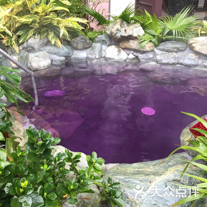 碧泉空中温泉图片 - 第2张