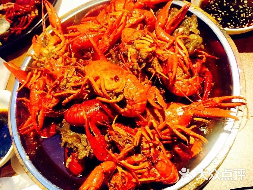 红盔甲(斜土路旗舰店)