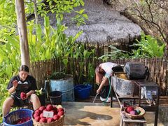 -大象粑粑造纸公园