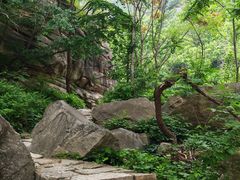 -黑龙潭风景区