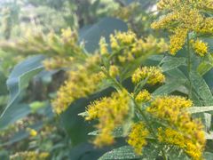 -呼吸森林·生态农庄农家乐私房菜