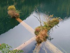 -九寨沟-树正沟