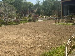 -重元寺香积厨素斋馆