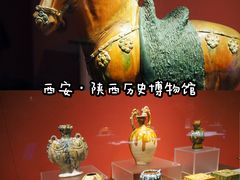 -陕西历史博物馆