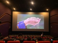 -武汉华夏国际影城(鲁广店)