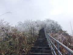 -江南天池