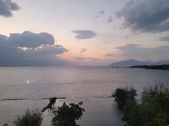 -野菌皇海景野生菌火锅(滨海大道店)