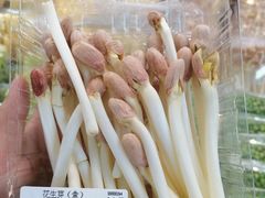花生芽-果蔬好(江南赋店)