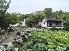 -八大山人梅湖景区