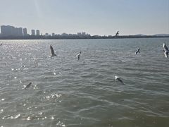 -蠡湖大桥公园