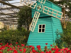 -南宫五洲植物乐园