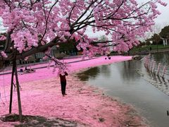 -上海杨姆庄园