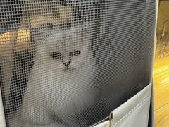 -听TA说宠咖·宠物生活馆(天韵水岸店)