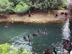 -长白岛森林公园