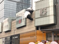 -蓉府金足印象(草市街22分店)