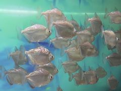-秦皇岛新澳海底世界